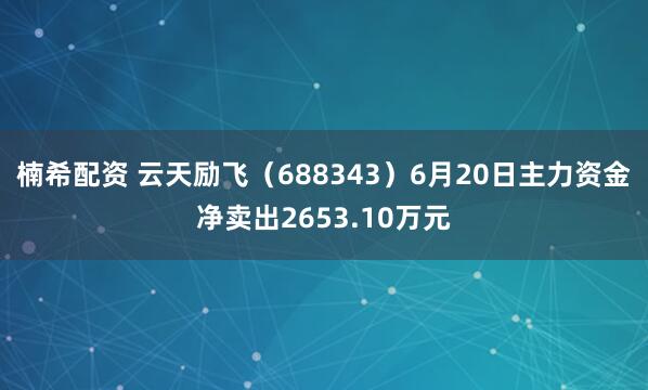 楠希配资 云天励飞（688343）6月20日主力资金净卖出2653.10万元