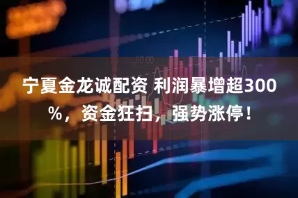 宁夏金龙诚配资 利润暴增超300%，资金狂扫，强势涨停！
